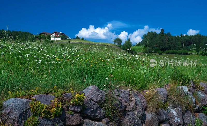 Kastelruth Dolomites的风景